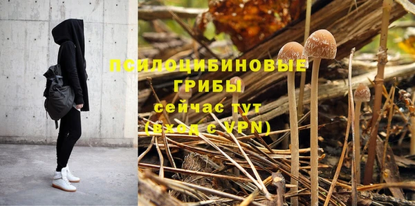 каннабис Белокуриха