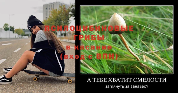 стаф Белоозёрский