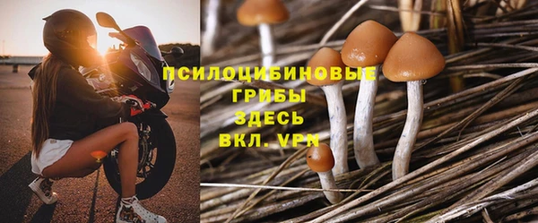 стаф Белоозёрский