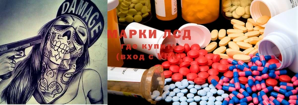 стаф Белоозёрский