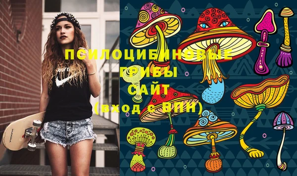 каннабис Белокуриха