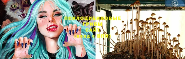 каннабис Белокуриха
