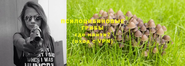 первитин Богородицк