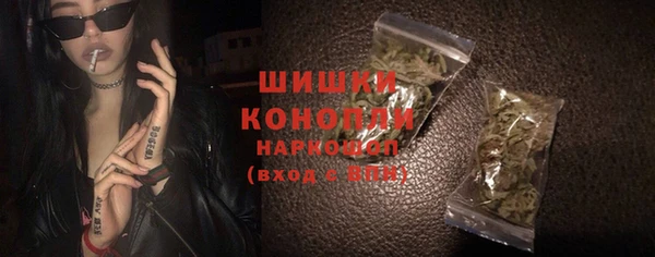 молекула духа Горно-Алтайск